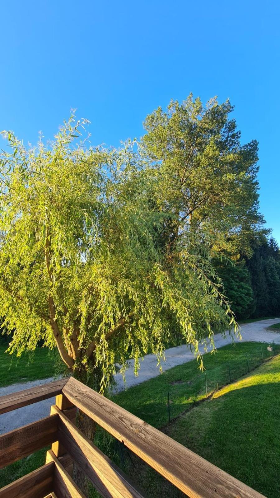 Apartamento Sous Le Saule Nods Exterior foto