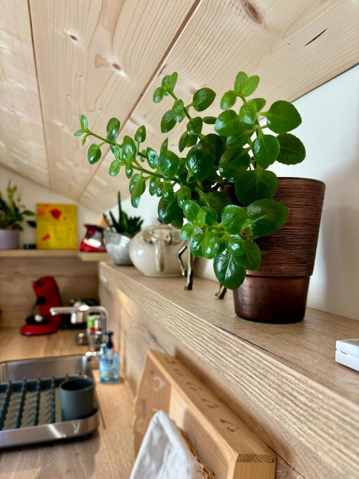 Apartamento Sous Le Saule Nods Exterior foto